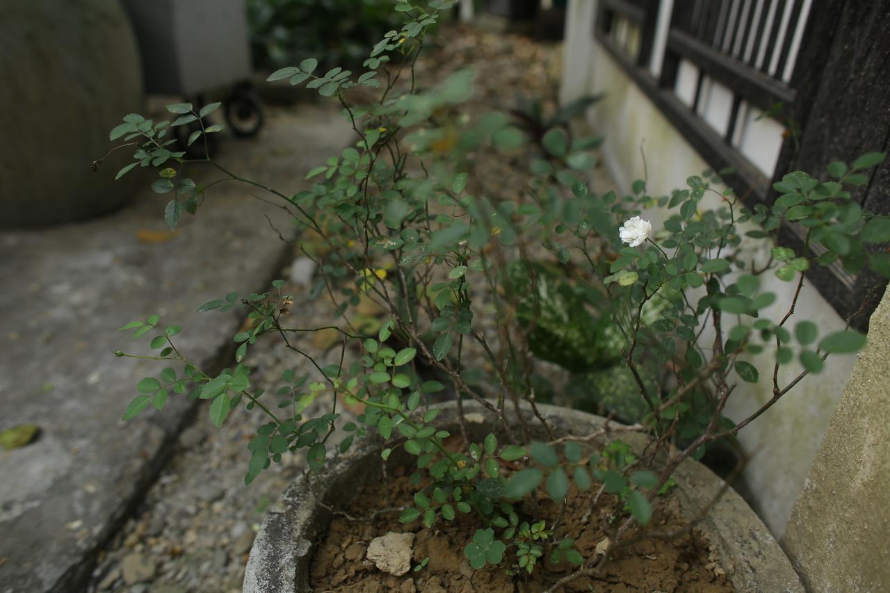 Thuy Bieu Homestay Hue Exterior photo