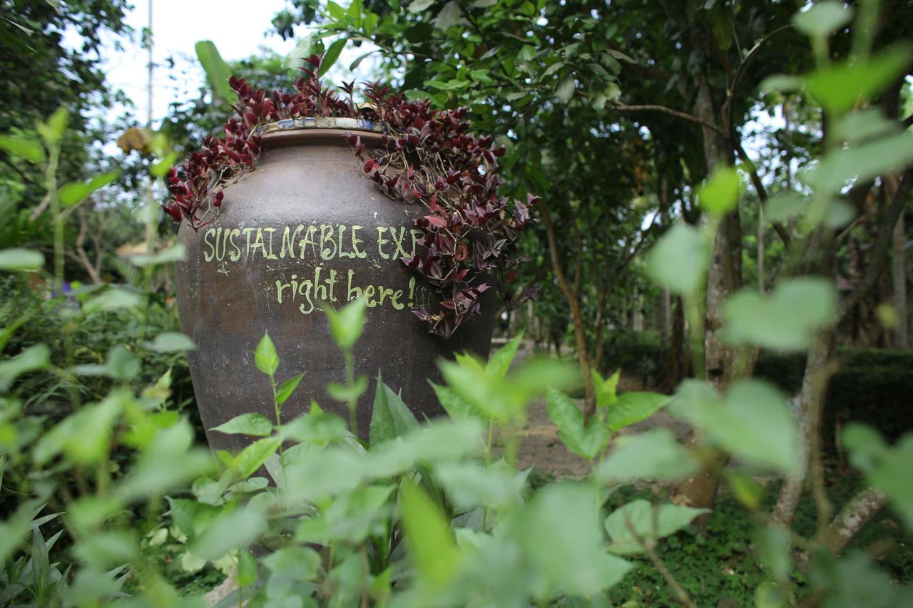 Thuy Bieu Homestay Hue Exterior photo